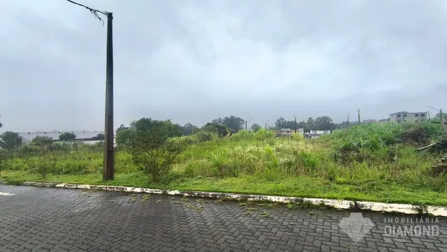 Terreno, foto 2