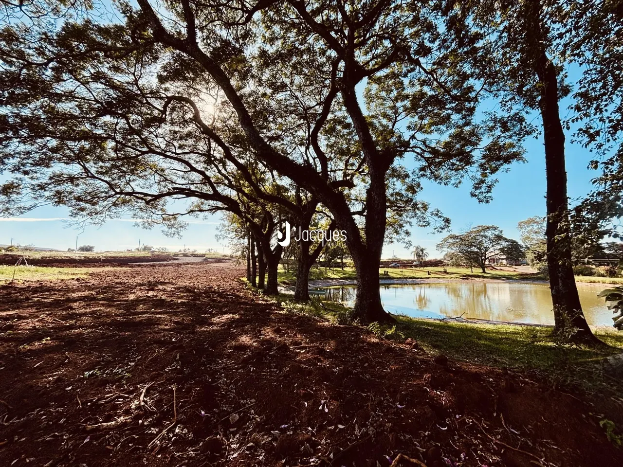 Terreno, foto 1