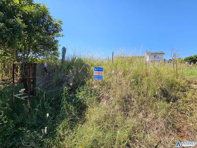 Terreno, foto 3