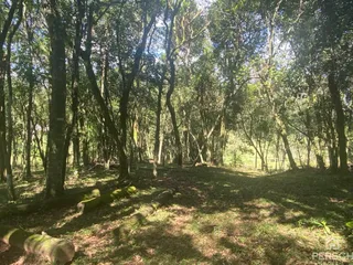 Área rural, foto 26