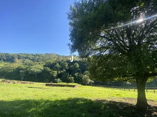 Paisagem de campo com uma grande árvore e cerca verde sob um céu azul.