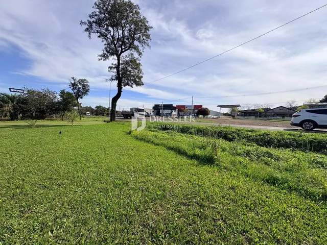 Terreno, foto 4