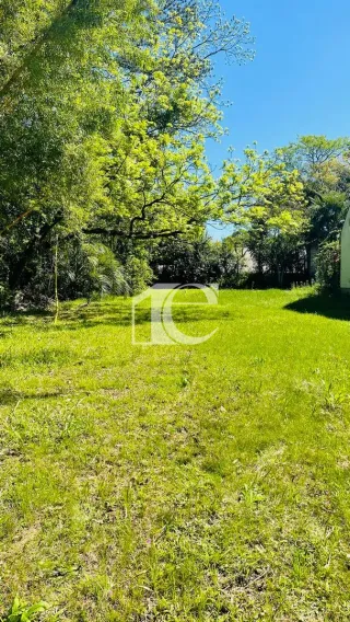 Terreno, foto 23