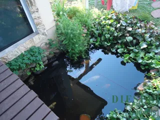 Casa com 3 dormitórios, foto 15