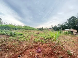 Área rural com 2 dormitórios, foto 11