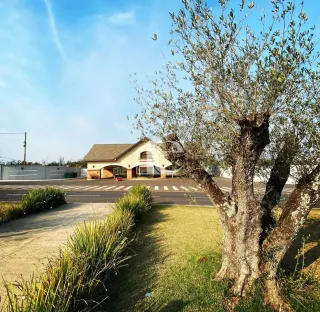 Terreno, foto 2