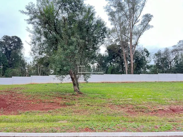 Terreno, foto 2