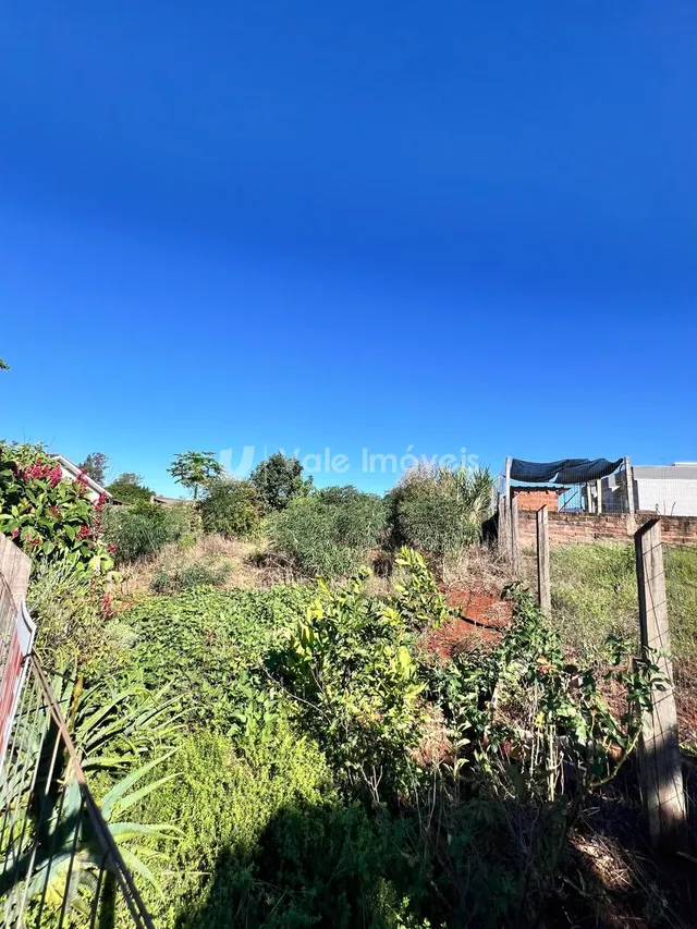 Terreno, foto 3