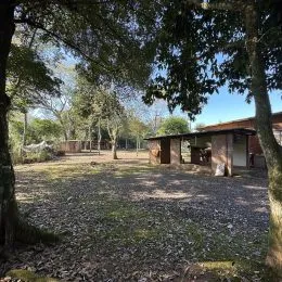 Vista de um terreno externo com vegetação e solo de terra.