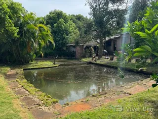 Área rural com 4 dormitórios, foto 7