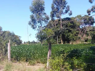 Área rural, foto 5