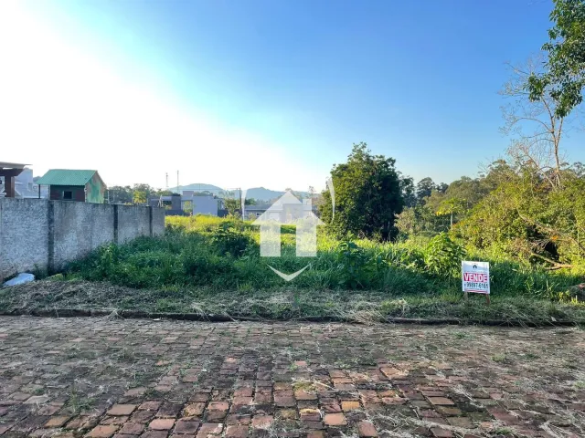 Terreno, foto 2