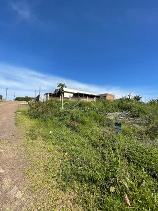 Terreno, foto 3