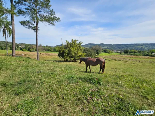 Área rural, foto 5