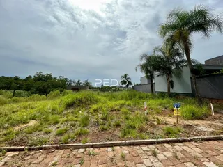 Paisagem de um terreno com vegetação e árvores ao fundo.