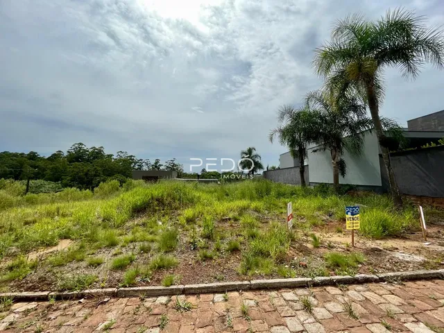 Paisagem de um terreno com vegetação e árvores ao fundo.