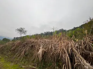 Área rural, foto 10
