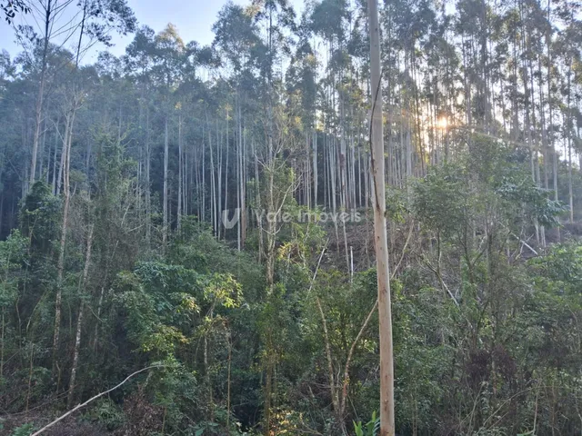 Área rural, foto 3