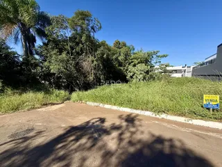Vista externa de uma propriedade com vegetação densa e estrada de terra no primeiro plano.
