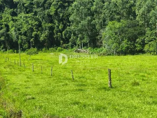 Área rural com 3 dormitórios, foto 5