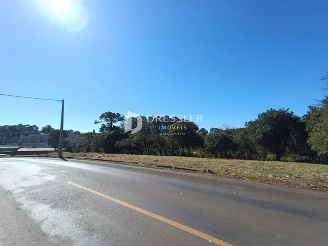 Vista da estrada e vegetação ao longo de uma área rural.