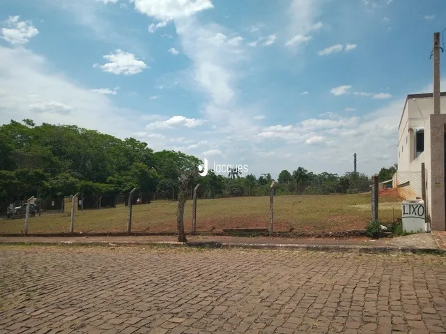 Campo aberto com vegetação e árvores ao fundo sob um céu claro.