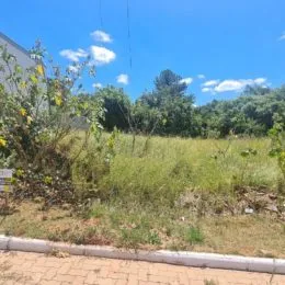 Terreno, foto 2