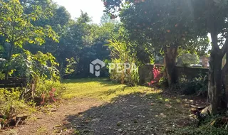 Casa com 5 dormitórios, foto 21