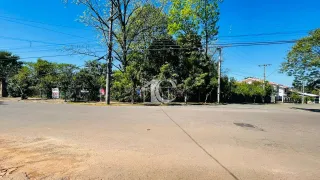 Terreno, foto 1