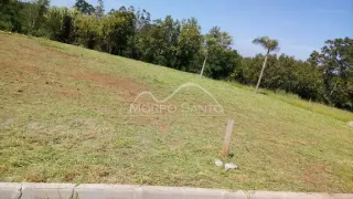 Vista de um campo gramado com vegetação arbórea ao fundo.