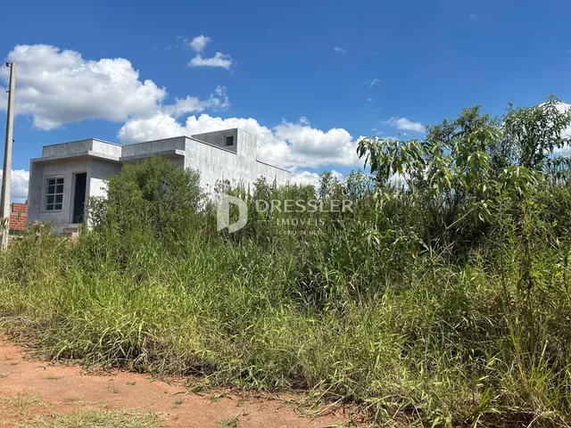 fachada de uma casa em Lajeado, Brasil, parcialmente coberta por vegetação densa.