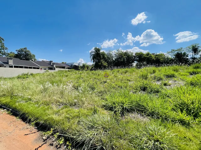 Vista externa de terreno com vegetação verde e caminho de terra em Lajeado.