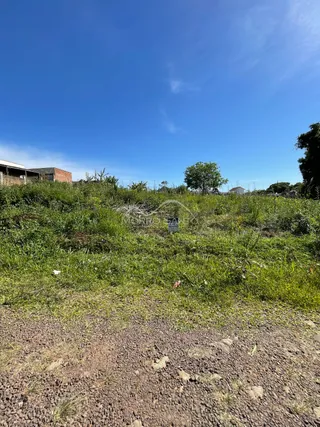 Terreno, foto 2