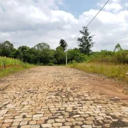 Vista de um caminho de pedra em uma área externa de propriedade.