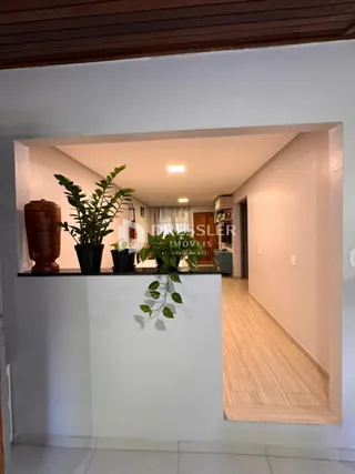 Hall de entrada com piso de madeira e plantas decorativas.