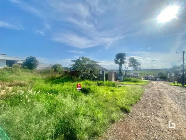 Vista da propriedade com área de vegetação e estrada de terra.