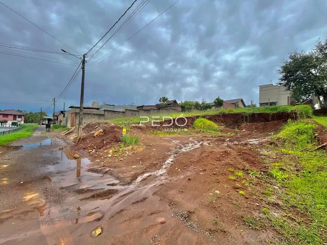 Terreno, foto 3