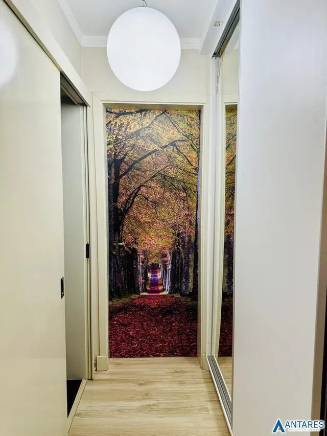 Apartamento com 2 dormitórios, foto 5