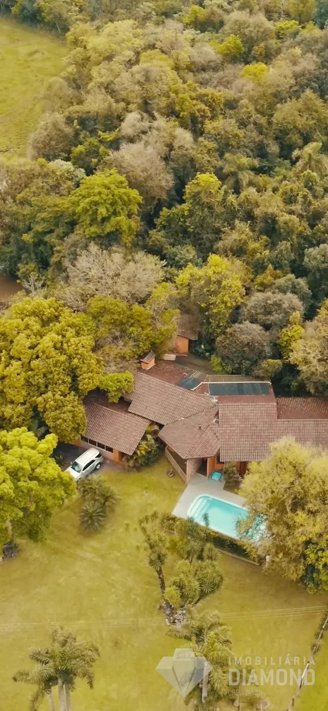 Vista aérea de uma propriedade com piscina cercada por vegetação densa.