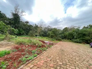 Terreno, foto 4