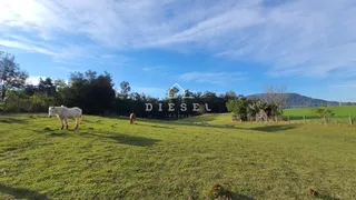 Área rural com 3 dormitórios, foto 5