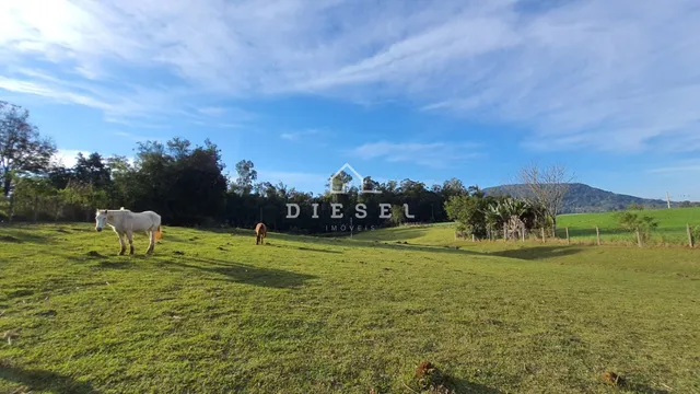 Área rural com 3 dormitórios, foto 5