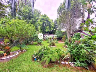 Jardim verde com vegetação exuberante e gramado bem cuidado.
