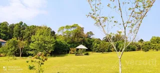 Área rural com 3 dormitórios, foto 8