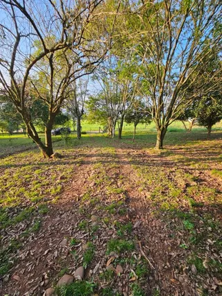 Área rural com 2 dormitórios, foto 19