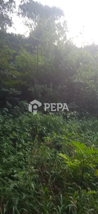 Terreno, foto 4