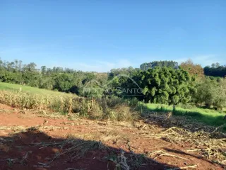 Paisagem de campo seco com vegetação verde ao fundo sob um céu azul.