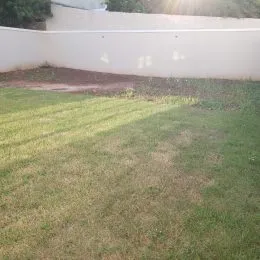 Casa com 3 dormitórios, foto 48