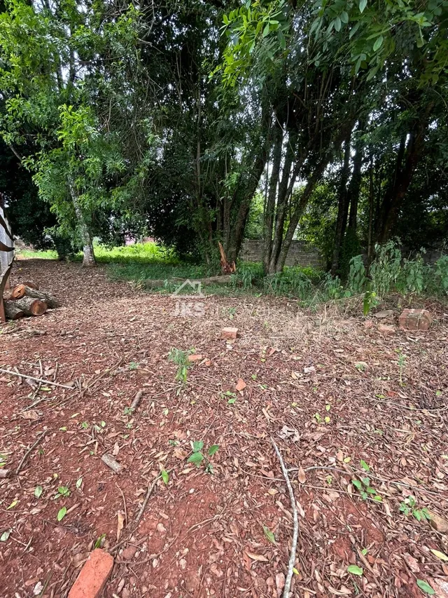 Terreno