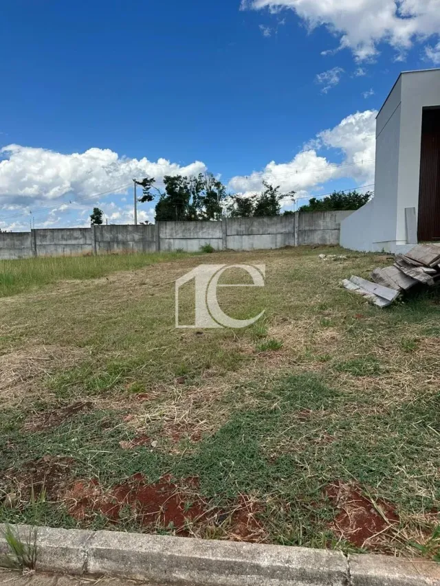 Terreno, foto 2